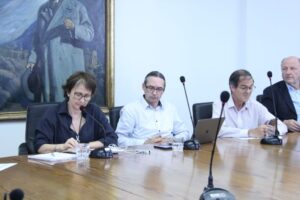 Se realizó la primera sesión de consejo consultivo del Comité para Hidrógeno Verde