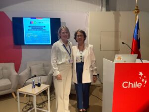 Corfo: Chile requiere fabricar electrolizadores y no depender de su importación