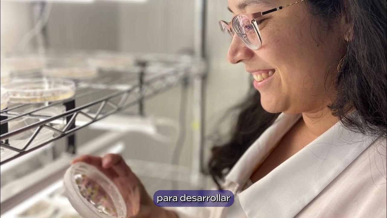 Capital Humano para la Innovación