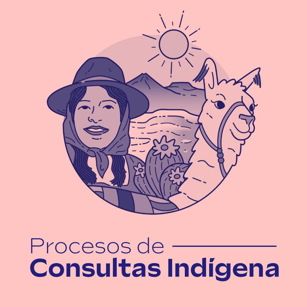 Procesos de Consulta Indígenas