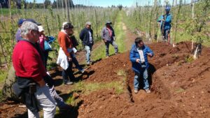 La Araucanía: 48 profesionales del agro fueron beneficiados con beca de formación en Agricultura Sustentable