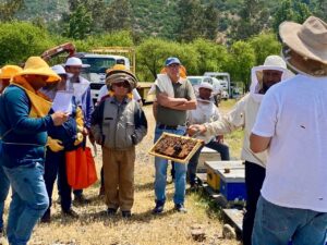 Maule: Con masivo seminario presentan Programa Territorial Integrado (PTI) Apícola