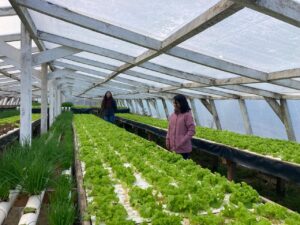 Magallanes se prepara para su 1° Encuentro de Innovación Hortícola: Un espacio para cultivar futuro
