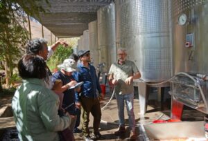 Construirán humedales artificiales para depurar aguas residuales en la industria pisquera