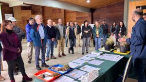 INIA Remehue presentó resultados de investigación para una ganadería sostenible