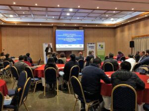 Corfo abre convocatoria para el desarrollo tecnológico sustentable de especies acuícolas