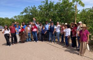 Inician proyecto de agricultura sustentable en El Tamarugal