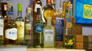 ¿De quién es el pisco? La película que se filmará en el Valle del Huasco