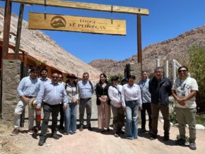 Arica y Parinacota: Pymes turísticas de Codpa mostraron su crecimiento con financiamiento regional