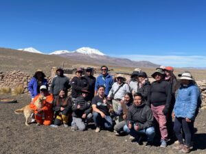 Arica y Parinacota: Se capacitaron en amansamiento y adiestramiento de llamas con fines turísticos
